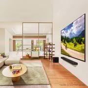 LG 65inch QNED80 4K QNED webOS Television (2024 Model) - 65QNED80T6B + S40T Sound Bar 2.1