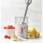 Zen Hand Blender - ZSB107A