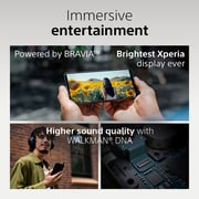 Sony Xperia 1 VII 5G 512GB 12GB RAM Slate Black Dual Sim Smartphone - XQ-FS72