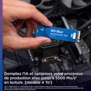 Western Digital Internal Solid State Drive PCle 1TB Blue - WDS100T4B0E