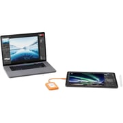 LaCie Rugged Mini Portable Solid State Drive USB 3.2 1TB Silver/Orange - STMF1000400