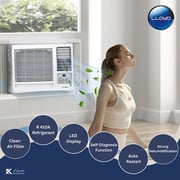 Lloyd Tropical Window Air Conditioner 2 Ton - GOW24B41TQCL