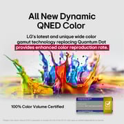 LG 100inch QNED86 QNED 4K Mini LED Smart Television (2025 Model) - 100QNED86A6-AMAG