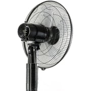 Havells Rigo Pedestal Fan - FOSRGTBLK16021