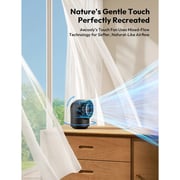 Aecooly Chic 01 Desk Fan - TB01-BK