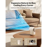 Aecooly Chic 01 Desk Fan - TB01-BG