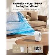 Aecooly Chic 01 Desk Fan - TB01-WH