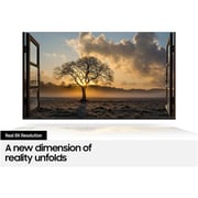 Samsung QA65Q800T 8K QLED Television 65inch (2020 Model)