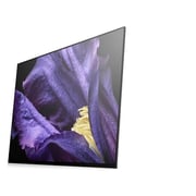 Sony 65A9F 4K HDR Android OLED Television 65inch (2018 Model)