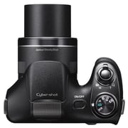 Sony Cyber-shot DSC-H300 Digital Still Camera Black