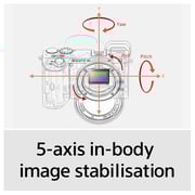 Sony Alpha A6600 APS-C Mirrorless Camera Black- ILCE6600MB + Sony E 18-135mm f/3.5-5.6 OSS Lens