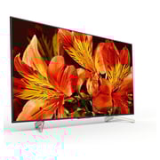 Sony 65X8500F 4K UHD HDR Android Television 65inch (2018 Model)