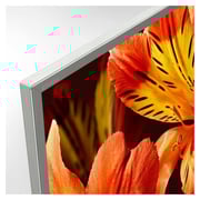 Sony KD65X8577G 4K HDR Android Television 65inch (2019 Model)