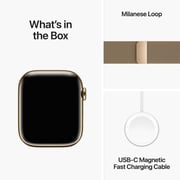 Apple Watch Series 9 GPS + Cellular 41mm Gold Stainless Steel Case with Gold Milanese Loop – Middle East Version