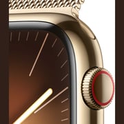 Apple Watch Series 9 GPS + Cellular 41mm Gold Stainless Steel Case with Gold Milanese Loop – Middle East Version