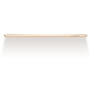 iPad (2017) WiFi 32GB 9.7inch Gold