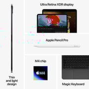 11-inch iPad Pro M4 (2024) Wi-Fi 256GB with standard glass - Silver Middle East Version with FaceTime