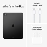 13-inch iPad Pro M4 (2024) Wi-Fi 256GB with standard glass - Space Black Middle East Version with FaceTime