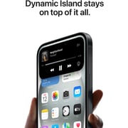 Apple iPhone 15 Plus (128GB) - Black Middle East Version with FaceTime