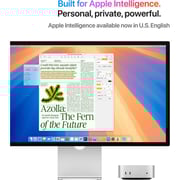 Apple Mac mini (2024) - M4 with 10-core CPU / 24GB RAM / 512 GB SSD / 10-core GPU / macOS Sequoia / Silver / Middle East Version