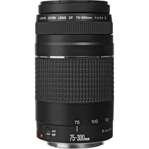 Canon EF 75-300 III USM 35mm Lens