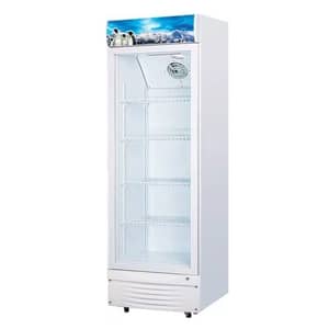 Super General Upright Bottle Cooler 395 Litres SGSC398
