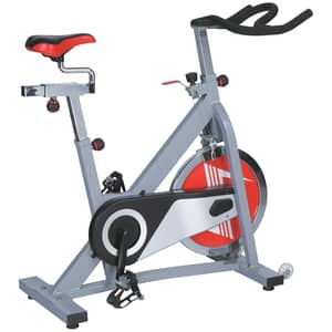 Skyland EM-1552 Spining Bike