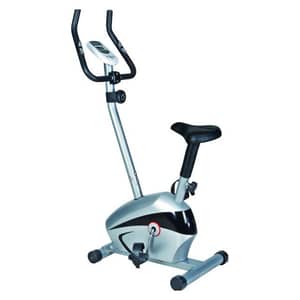 Skyland EM-1527 Magnetic Bike