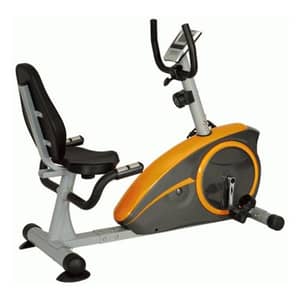 Skyland Recumbent Lazy Bike EM1536