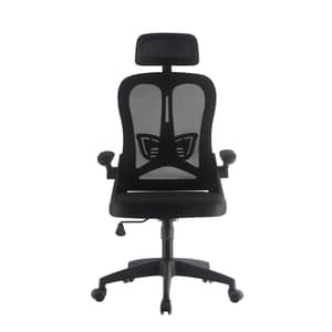 WB Office Chair With Back Rest