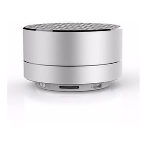 

Welte Portable Wireless Speaker Silver WYTG07