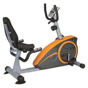 

Skyland Magnetic Recumbent Exercise Bike EM1536