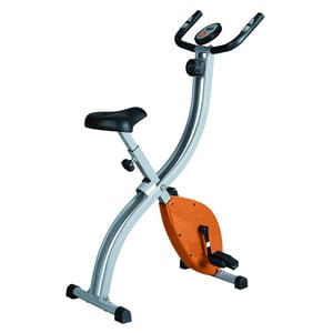 Skyland X Exercise Bike EM1539