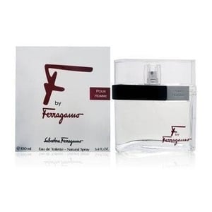 

Salvatore Ferragamo Silver Eau De Toilette 100ml For Men