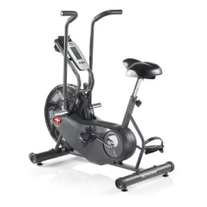 

Schwinn Airdyne AD6 Bike