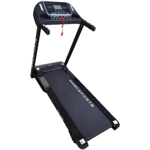 

Skyland Treadmill EM-1278