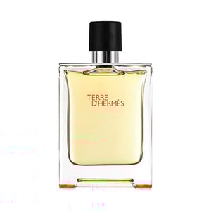 

HERMES Terre D'Hermes Pure Parfum Spray Limited Edition EDP 75 ml
