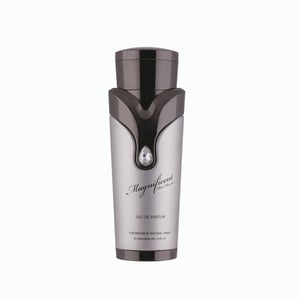 

Armaf Magnificent Pour Homme, For Men, Eau De Parfum, 100ml For Him Silver
