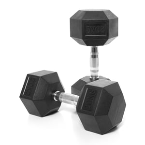 Harley Fitness 20kgs Rubber Coated Fixed hex Dumbbell Set
