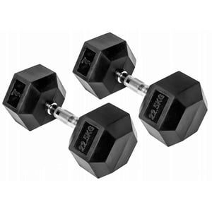 Harley Fitness 22.5kgs Rubber Coated Fixed hex Dumbbell Set
