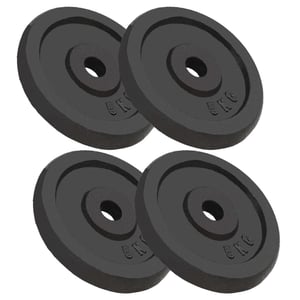 

vidaXL Weight Plates 4 pcs 4x5 kg Cast Iron