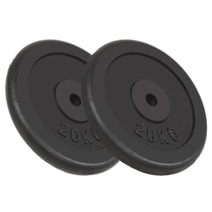 

vidaXL Weight Plates 2 pcs 2x20 kg Cast Iron