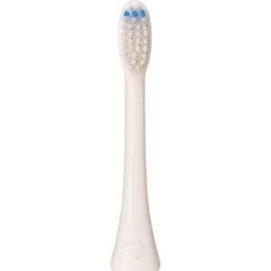 

Qutek Head Replacement For Toothbrush QT-1741-W