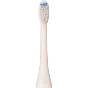 Qutek Head Replacement For Toothbrush QT-1741-W