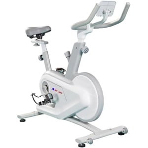 

Skyland Exercise Bike EM-1565