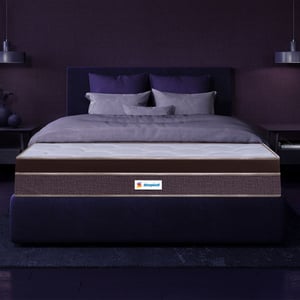 

Sleepwell Queen Bed Resitec Mattress 200*160*25 cm