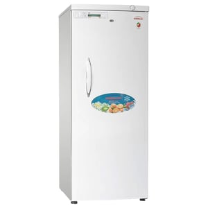 

Generaltec Upright Freezer 310 Litres GFU495