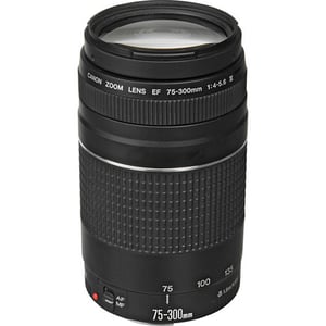 Canon EF 75-300mm f/4-5.6 III Telephoto Lens Black