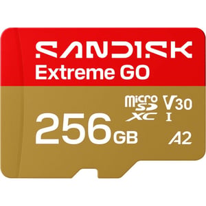 Sandisk Extreme GO UHS-I Micro SD Card