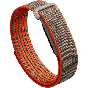 Google Goodle Fitbit Air Special Edition